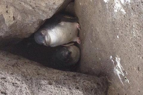 Food Tour Melbourne - St Kilda - Tourism Noosa 4