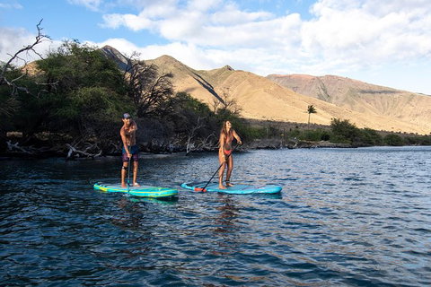 Stand Up Paddle Boarding Hire - Tourism Noosa 2