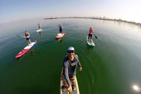 Stand Up Paddle Boarding Hire - Tourism Noosa 1