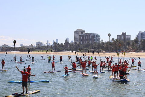 Stand Up Paddle Boarding Hire - Tourism Noosa 5