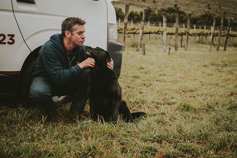Daylesford Private, Corporate, Group Wine Tours: Wine, Cider, Gin, Vodka, Port! - Tourism Noosa 3