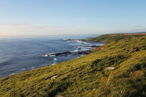 Phillip Island Express Tour - Tourism Noosa 1