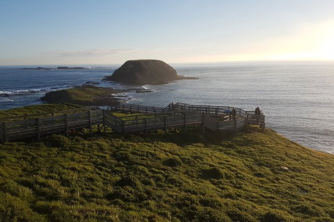 Phillip Island Express Tour - Tourism Noosa 3