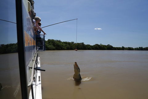 Darwin City Sights And Jumping Crocodile Cruise - Tourism Noosa 2