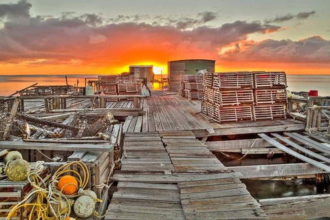 Abrolhos Islands 3 Day Fishing Charter - Tourism Noosa 5