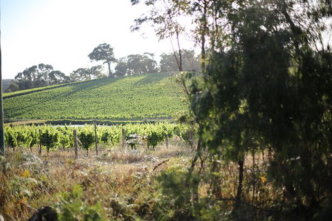 All Inclusive Surf Camp In Margaret River Region - Tourism Noosa 3