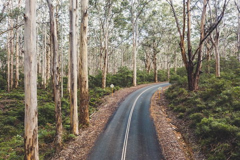 All Inclusive Surf Camp In Margaret River Region - Tourism Noosa 2