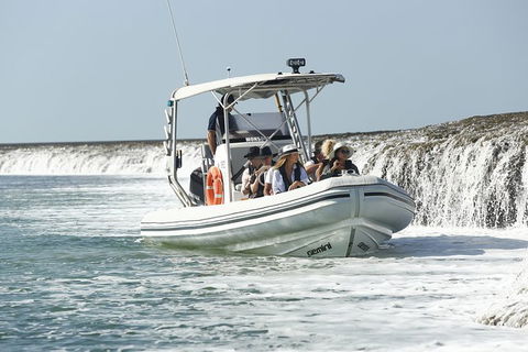 Cygnet Bay Explorer - Tourism Noosa 8