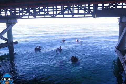 PADI Open Water Course - Tourism Noosa 3