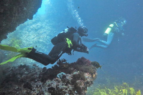 PADI Open Water Course - Tourism Noosa 2
