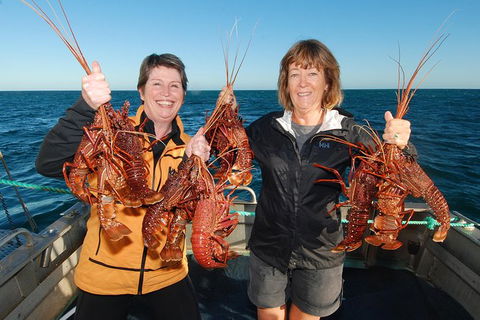Abrolhos Islands 5 Day Tours - Tourism Noosa 1