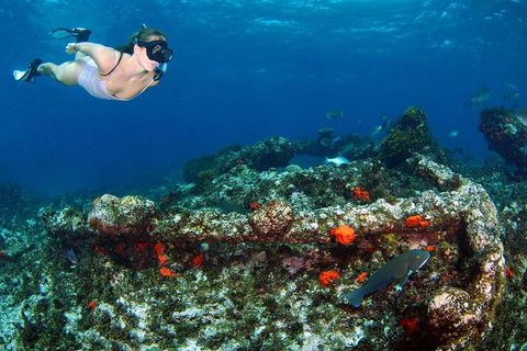 Abrolhos Islands 5 Day Tours - Tourism Noosa 3