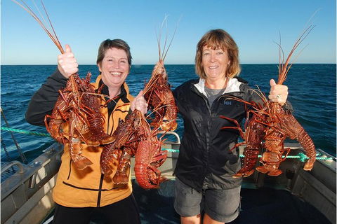 Abrolhos Islands 5 Day Tours - Tourism Noosa 0