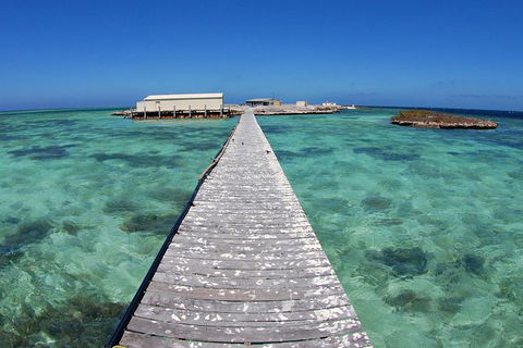 Abrolhos Islands 5 Day Tours - Tourism Noosa 4