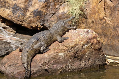 Ord River Experience With Riverside Lunch - Tourism Noosa 2