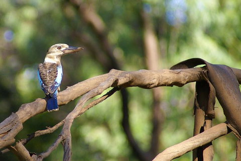 Ord River Experience With Riverside Lunch - Tourism Noosa 1
