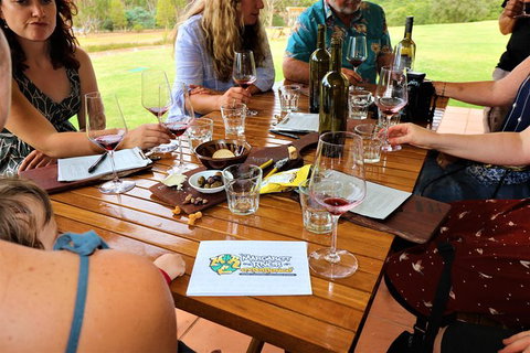 The Favourite 4 Experience - Tourism Noosa 2