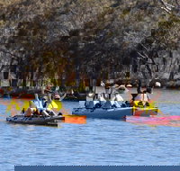 Private Guided River Kayak Tour - Tourism Noosa