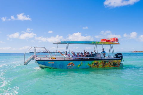 The Island Sandbar Experience - Tourism Noosa 5