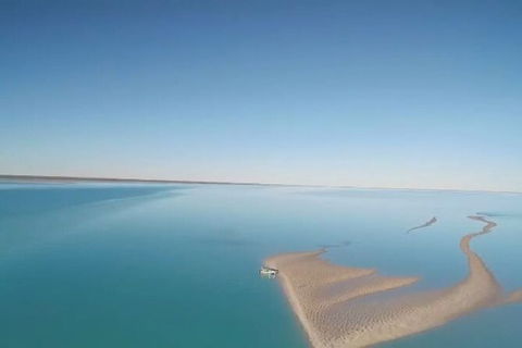 The Island Sandbar Experience - Tourism Noosa 7