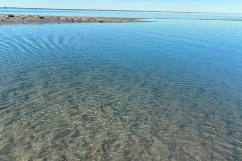 The Island Sandbar Experience - Tourism Noosa 4