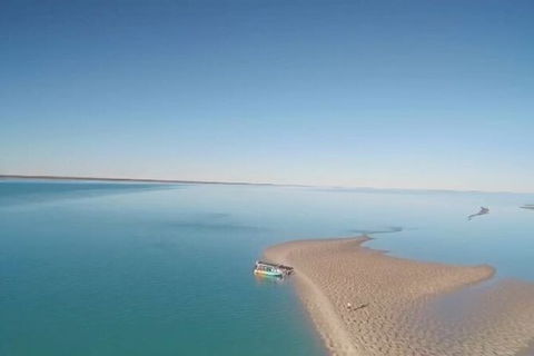 The Island Sandbar Experience - Tourism Noosa 6