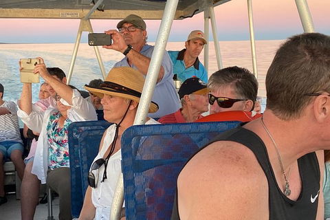The Island Sandbar Experience - Tourism Noosa 3