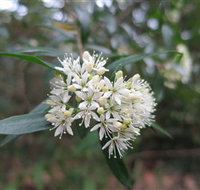 Booderee National Park - Tourism Noosa