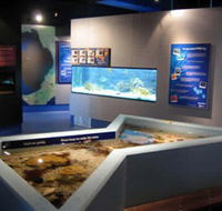 Marine and Freshwater Discovery Centre - Tourism Noosa