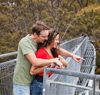 Valley of the Giants Tree Top Walk - Tourism Noosa