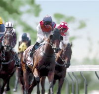 Colac Turf Club - Tourism Noosa