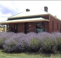 Lavender House in Railway Park - Tourism Noosa