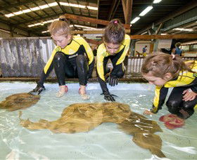 Dandenong South VIC Tourism Noosa