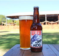 Feral Brewing Company - Tourism Noosa