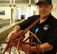Lobster Shack - Tourism Noosa
