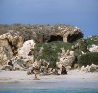Jurien Bay Marine Park - Tourism Noosa