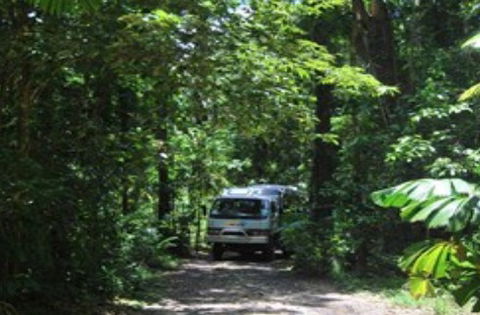 BTS Tours Pty Ltd - Tourism Noosa 0