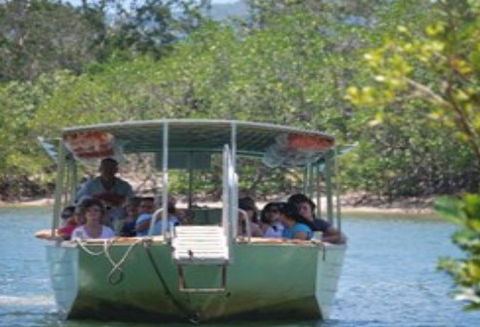 BTS Tours Pty Ltd - Tourism Noosa 1