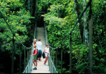 BTS Tours Pty Ltd - Tourism Noosa 4