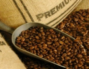 Coffee Works - Tourism Noosa 1