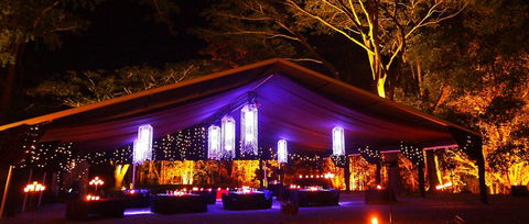 Flames Of The Forest - Tourism Noosa 0