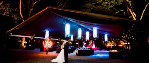Flames Of The Forest - Tourism Noosa 3