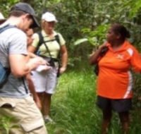 Ingan Tours - Spirit of the Rainforest Tour - Tourism Noosa
