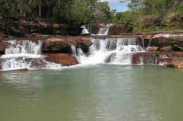 Tagalong Tours Of Australia - Tourism Noosa 1