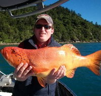 Gone Fishing by Coral Sea Fishing Charters Airlie Beach - Tourism Noosa