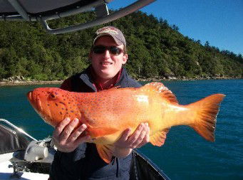 Gone Fishing By Coral Sea Fishing Charters Airlie Beach - Tourism Noosa 0
