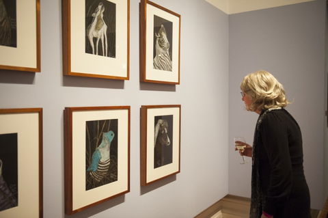 RMIT Gallery - Tourism Noosa 6