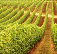 Wignalls Winery - Tourism Noosa