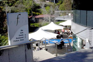 Fenix - Tourism Noosa 0