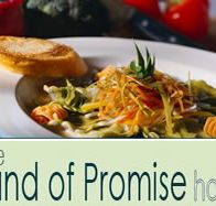 Land of Promise Hotel - Tourism Noosa